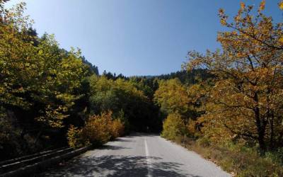 Θεσμική θωράκιση των περιοχών Natura