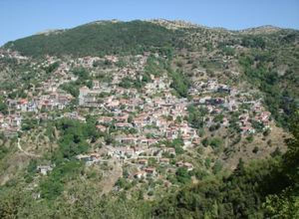 15 μήνες φυλακή στον πρώην δήμαρχο Κλείτορος Αρκαδίας