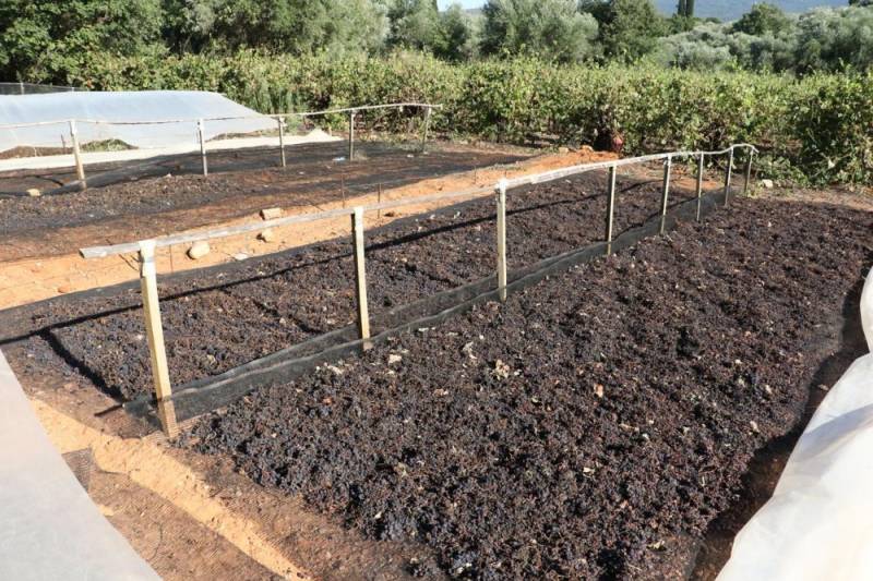 Λαϊκή Συσπείρωση: "Να σταματήσουν τα παιχνίδια στην πλάτη των σταφιδοπαραγωγών"