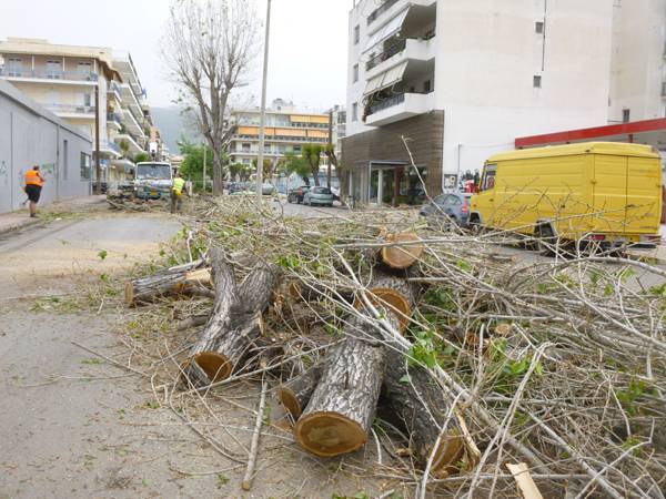 Χαμένη η μάχη του πράσινου στην Καλαμάτα