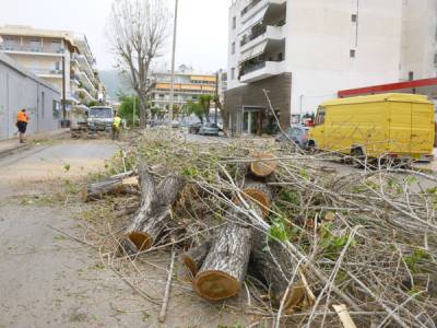 Χαμένη η μάχη του πράσινου στην Καλαμάτα