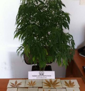 Συνελήφθη 30χρονος για ναρκωτικά στην περιοχή της Μεσσήνης