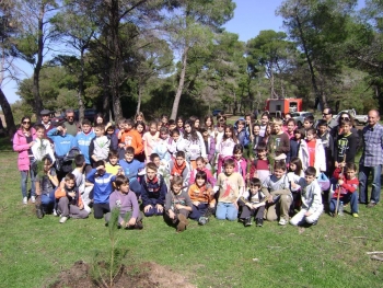Μαθητές φύτεψαν δέντρα στην Ελαία