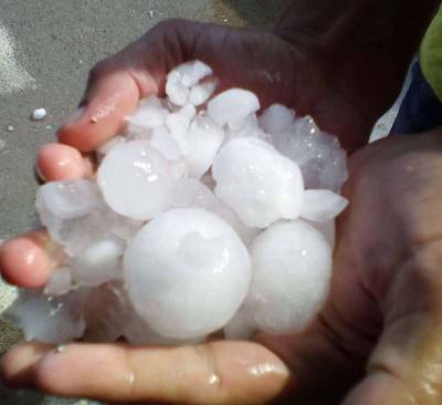 Ζητεί αποζημίωση για ζημιές από το χαλάζι ο Αγροτοκτηνοτροφικός Σύλλογος Μεσσήνης