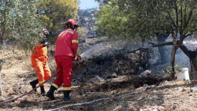 Μεσσηνία: Την ανάγκη κατασκευής αντιπυρικών δρόμων επεσήμανε ο Αναστασόπουλος