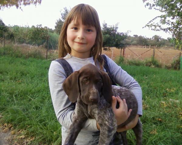 Επιλογή κουταβιού