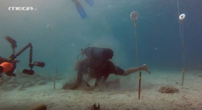 Υποθαλάσσια… αναδάσωση στα λιβάδια Ποσειδωνίας στους Λειψούς (βίντεο)