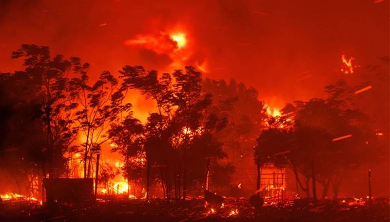 Meteo: Πάνω από 1.600.000 στρέμματα έχουν γίνει στάχτη – 270% αύξηση των καμένων εκτάσεων