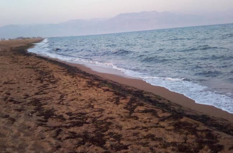 Εθελοντική δράση στην παραλία Αγίου Νικολάου της Μεσσήνης