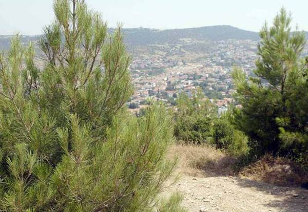 3.700 ενστάσεις στη Μεσσηνία για τους δασικούς χάρτες