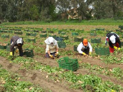 Η Ολλανδία δείχνει το δρόμο της ανάπτυξης