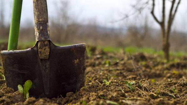 Πρόσληψη 170 γεωπόνων και 30 κτηνιάτρων από τον ΕΛΓΑ