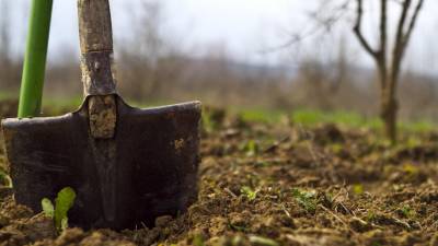 Πρόσληψη 170 γεωπόνων και 30 κτηνιάτρων από τον ΕΛΓΑ