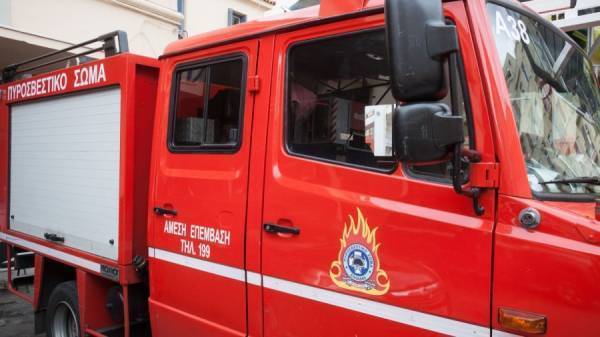 Μεσσηνία: Πυρκαγιά στην Ανδρούσα