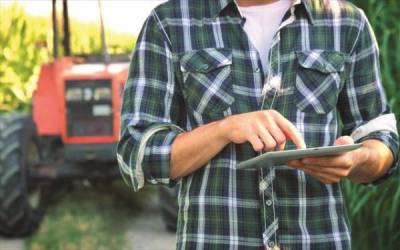 Ένωση Μεσσηνίας: Αίτηση ενίσχυσης σε παραγωγούς πωλητές λαϊκών αγορών