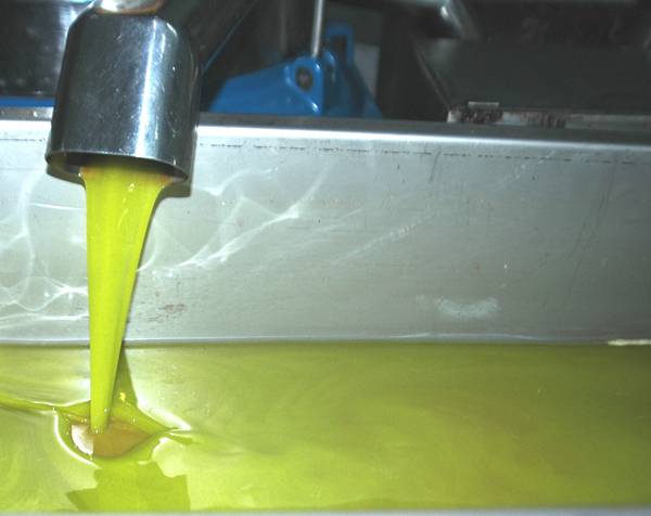 Από 2,55 έως 2,65 ευρώ το κιλό η τιμή του λαδιού