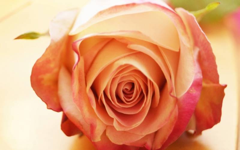 Εκδήλωση στην Καλαμάτα για την Παγκόσμια Ημέρα της Γυναίκας