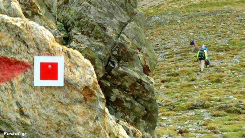 Καθαρισμός και σηματοδότηση του μονοπατιού στη Μονή Βελανιδιάς