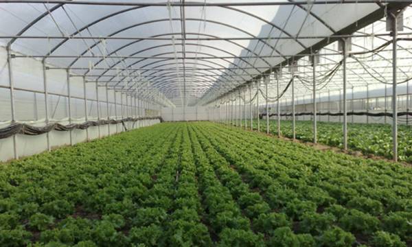 Διήμερο σεμινάριο εκπαίδευσης γεωπόνων στο ΤΕΙ Πελοποννήσου