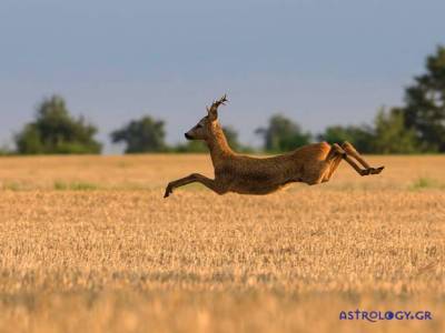 Ζώδια Σήμερα | Πέμπτη 09 Ιουνίου