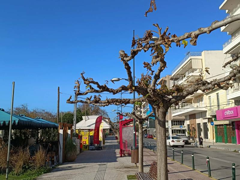 Ξεχάστηκαν οι κόκκινες κορδέλες