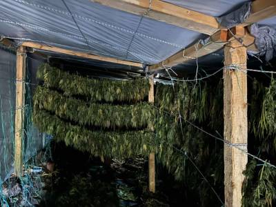 Εξαρθρώθηκε εγκληματική οργάνωση διακίνησης ναρκωτικών σε Αρκαδία