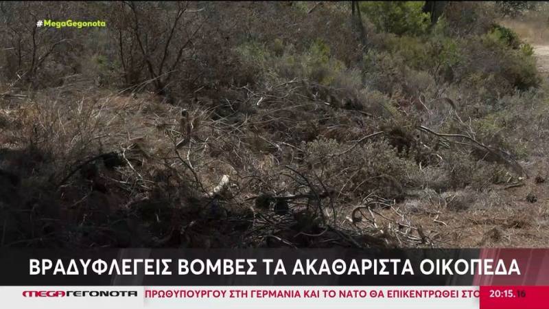 Πυρκαγιά: Βραδυφλεγείς «βόμβες» τα ακαθάριστα οικόπεδα - Αυξημένος συναγερμός