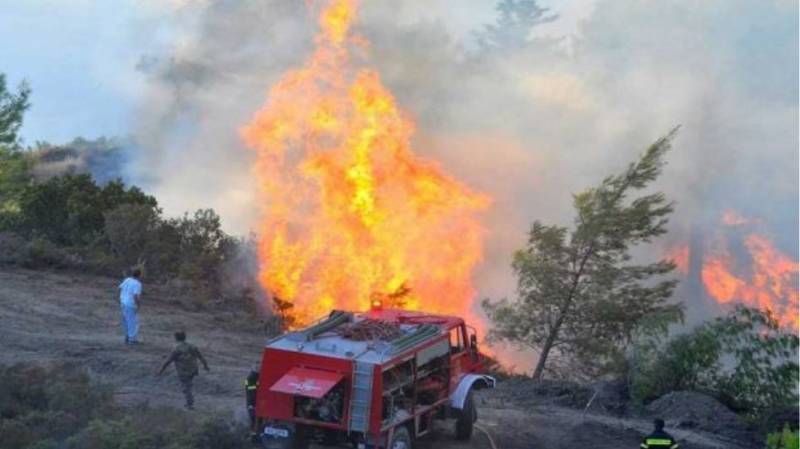 Αιτήσεις στον ΕΛΓΑ για αποζημιώσεις