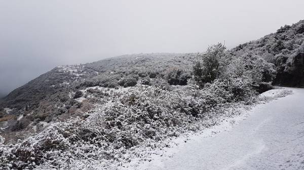 Στα λευκά τα ορεινά της Τριφυλίας
