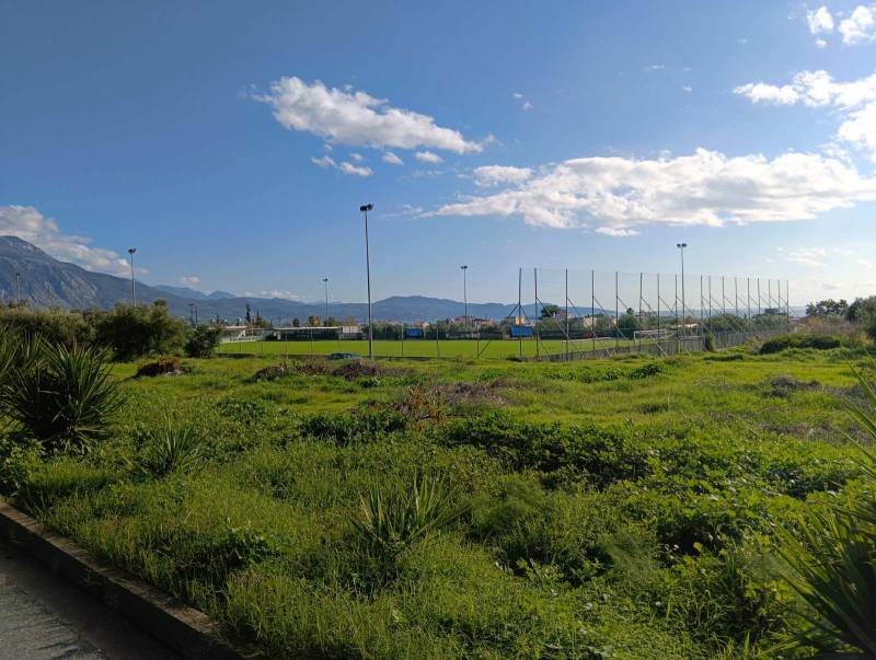 “Πράσινο” από την Περιφέρεια Πελοποννήσου για Παλιάμπελα και ΚΑΚ