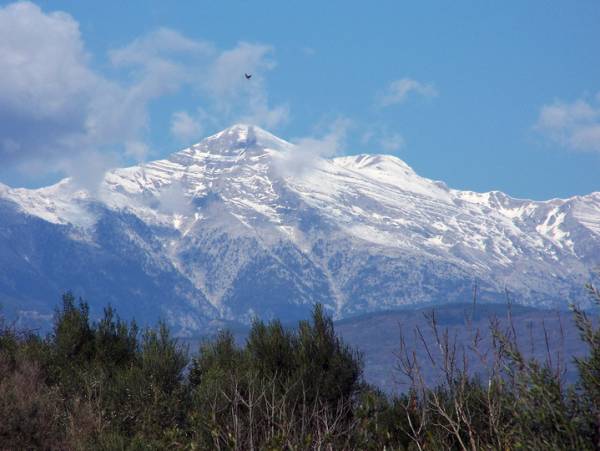 Ο ΕΟΣ Καλαμάτας στην κορυφογραμμή Πελενίτσα στον μεσσηνιακό Ταΰγετο