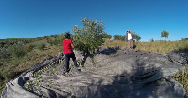 Να δώσουν οικονομική ανάσα στην ύπαιθρο