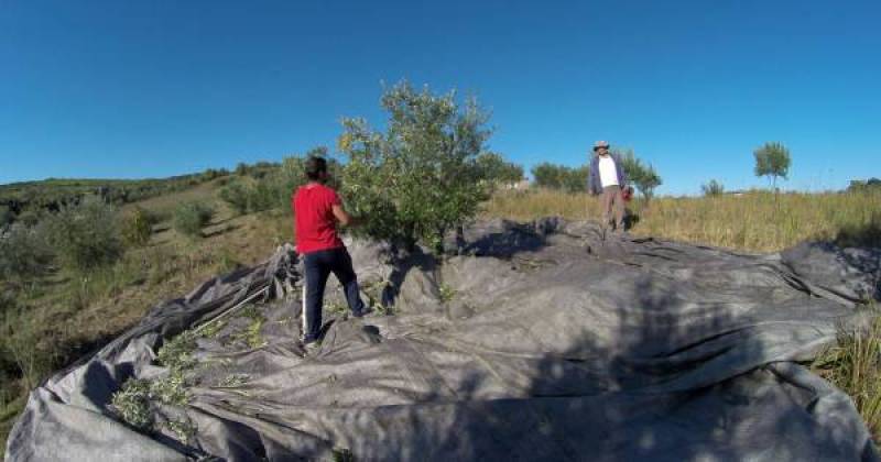 Να δώσουν οικονομική ανάσα στην ύπαιθρο