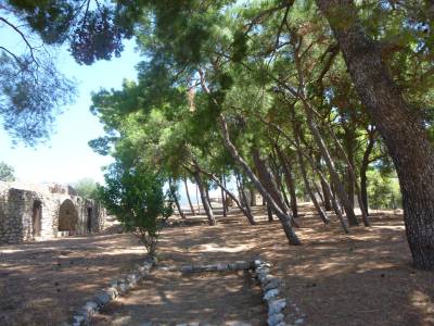 Πράσινες φούντες στη θέση των κάστρων
