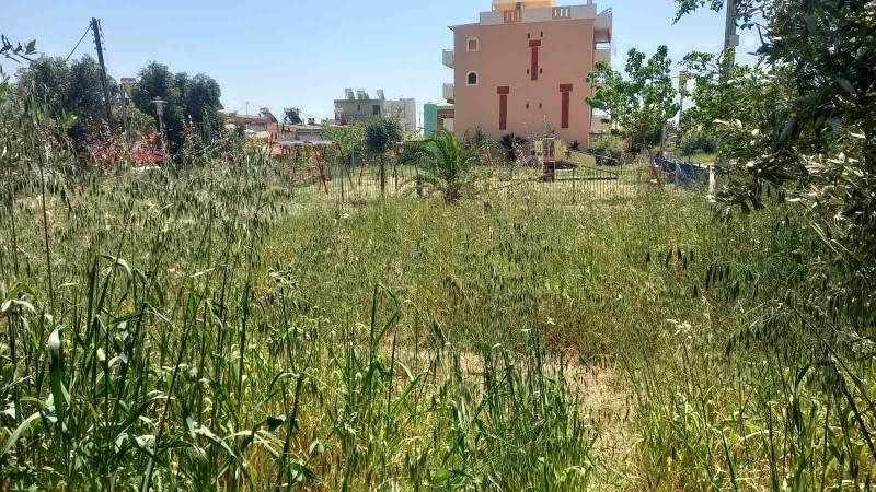 Θέριεψαν τα χορτάρια στην Ερρίκου Σλήμαν