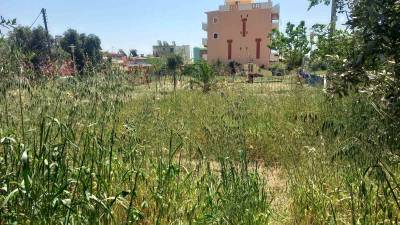 Θέριεψαν τα χορτάρια στην Ερρίκου Σλήμαν