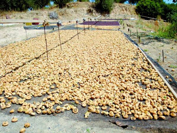 Αποζημίωση αλλά και τιμή