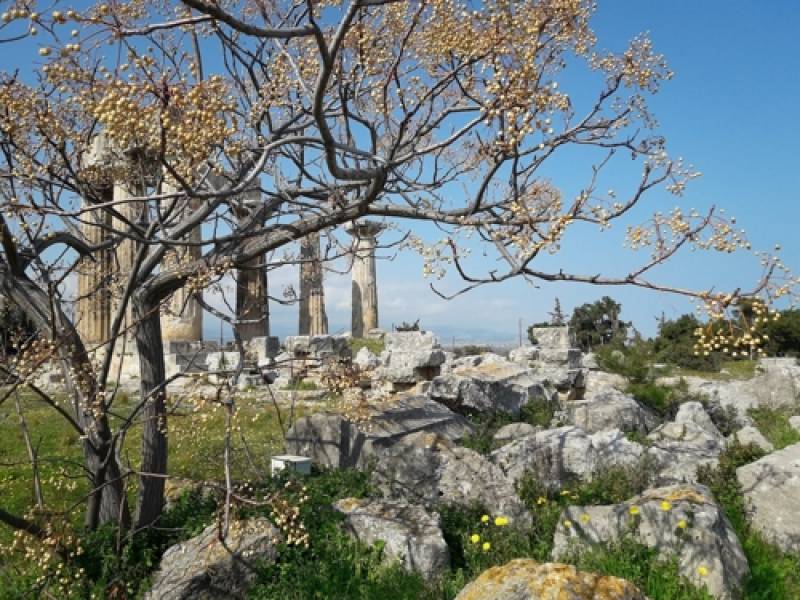 Πανεπιστήμιο Πελοποννήσου: Παράταση στο μεταπτυχιακό Ιστορίας