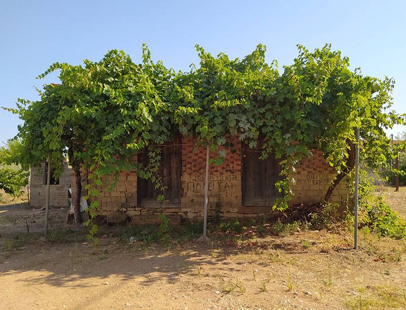 "Ενα καλοκαίρι" της Κωνσταντίνας Τασσοπούλου