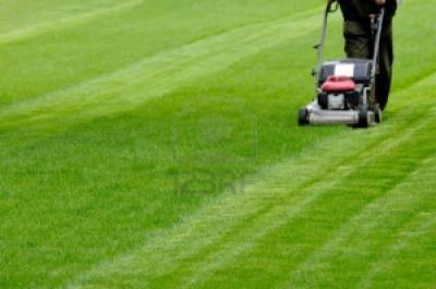 Για όλα φταίει το... γκαζόν