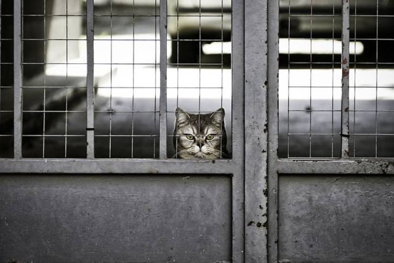 Αστρολογία – 21/1/2023