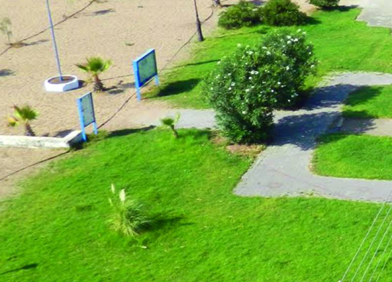 Εργα ενίσχυσης του πράσινου στη Μεσσήνη