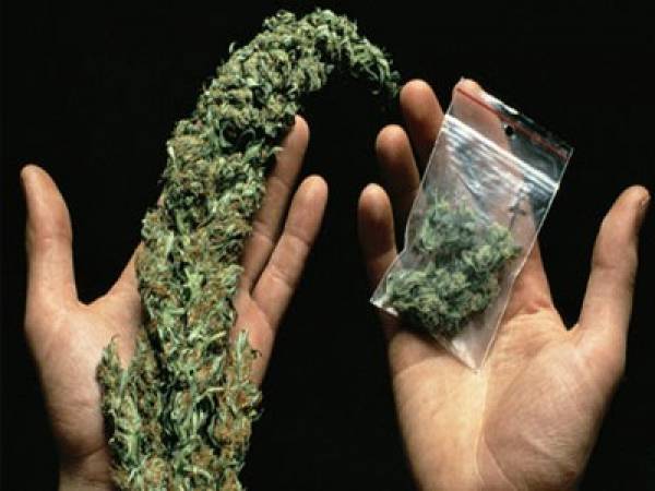 Δύο συλλήψεις για κάνναβη σε συσκευασίες στην Καλαμάτα