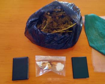 Με μισό κιλό χασίς και 2 χασισόδεντρα συνελήφθησαν δυο Αλβανοί στο Δώριο