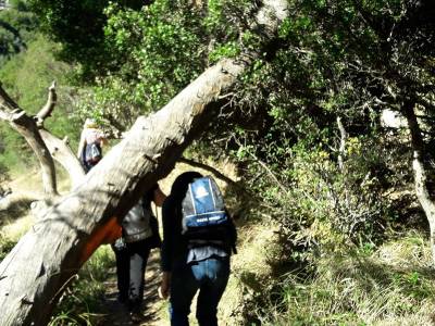 Γνωρίζοντας τις ορεινές πεζοπορικές εμπειρίες του Κάτω Ολύμπου
