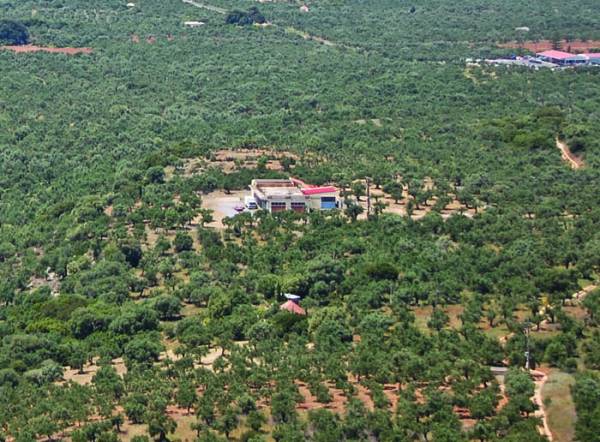 Φόρος ακινήτων: Αφορολόγητο 300.000 ευρώ και συντελεστής 2€ ανά στρέμμα