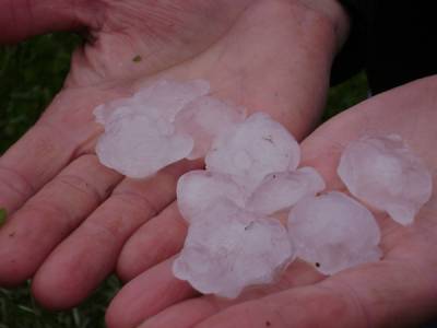 Το πόρισμα του ΕΛΓΑ για ζημιές σε Λέικα και Ελαιοχώρι