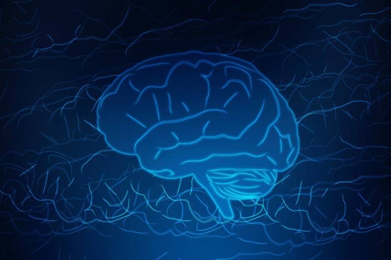 Επιστήμονες ανακαλύπτουν πιθανό τρόπο επιδιόρθωσης της μνήμης στους ασθενείς με Αλτσχάιμερ