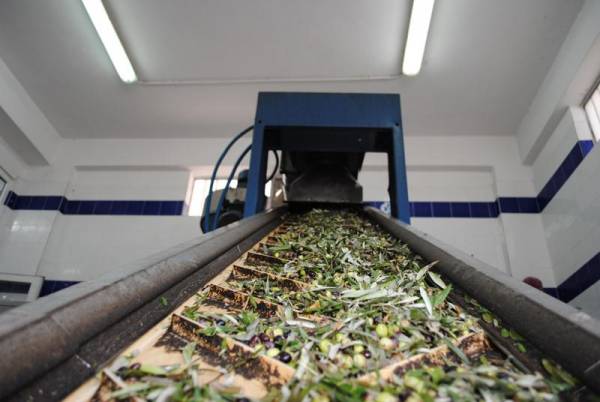 Αδεια ελαιουργείου Συνεταιρισμού Στέρνας