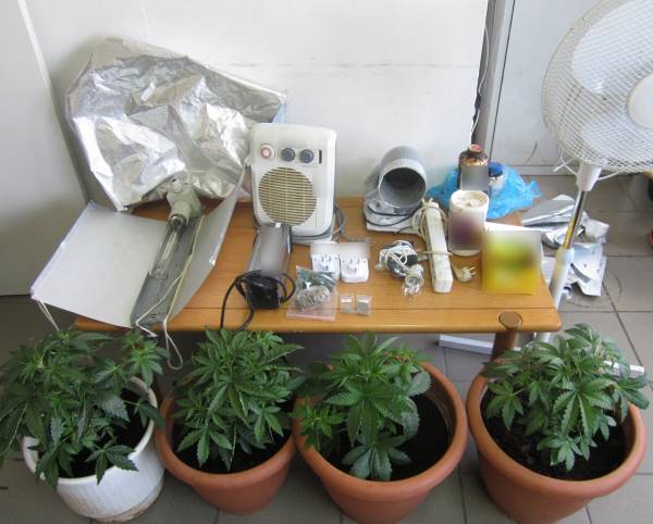 Σύλληψη για υδροπονική χασισοκαλλιέργεια στο Στάδιο Αρκαδίας